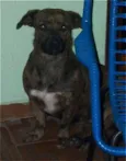 Princesa