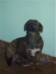 Princesa