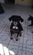 Nina e Nino