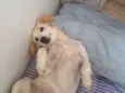 daslu