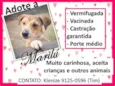 Marilu (Canil SJ) #SPC