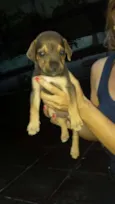 pequena