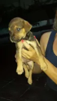 pequena