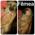 sem nome