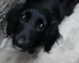 Maggie