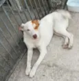 AINDA NÃO TEM