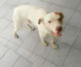 AINDA NÃO TEM