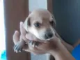 sem nome ainda