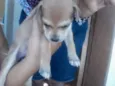 sem nome ainda