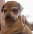 sem nome ainda