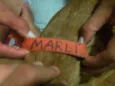 MARLI