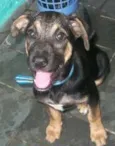 BELINHA