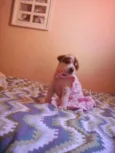 nao tem