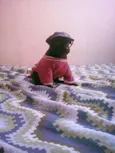 nao tem