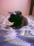 nao tem