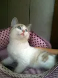 Bianco, Clara, Eugê