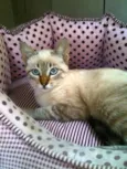 Bianco, Clara, Eugê