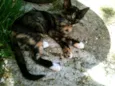 Bianco, Clara, Eugê