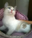 Bianco, Clara, Eugê