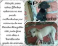 brankinha e pretinho