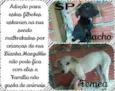 brankinha e pretinho