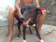 Luvinha