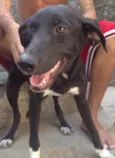 Luvinha
