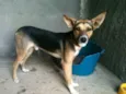 Biriba, 1 ano, cast