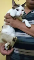 Charlie