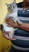 Zóião