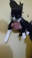 Pretuxa