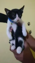 Salem