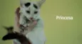 Princesa