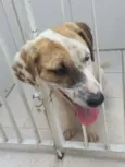 JUQUINHA