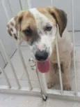 JUQUINHA