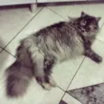 NATHAXA