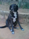 Charles