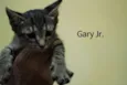 Gary
