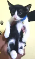 Salem