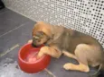 Kiara, Sofia, Theo