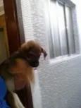 Kiara, Sofia, Theo