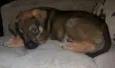 Kiara, Sofia, Theo