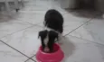 Princesa linda