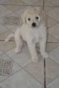 sem nomes ainda
