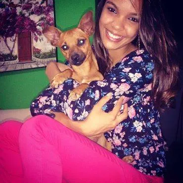 Cachorro ra a MINIATURA PINSCHER MISTURADO COM VIRA LATA idade 1 ano nome TARECO GRATIFICA