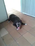 NIKITA