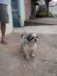 Peludinho