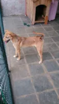 Marley