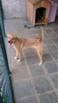 Marley