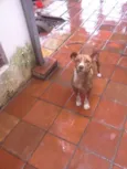 Lility